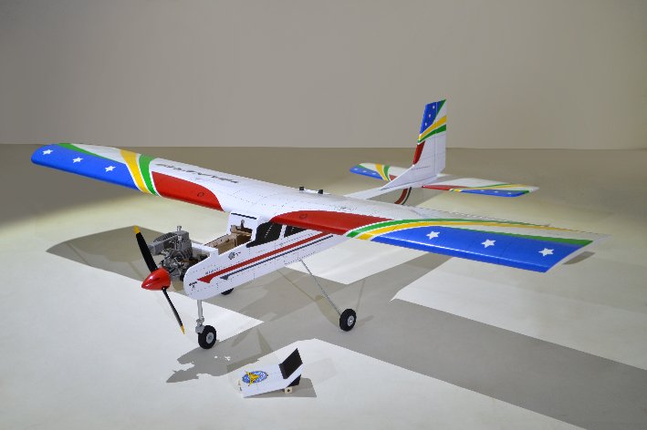 WP TRAINER 60 HIGH WING RC PLANE